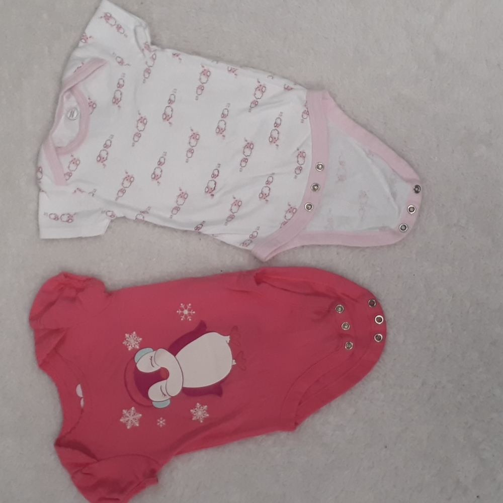 Place and Wonder Nation Babies Girls Bundle of 2 Onsie Bodysuits Size 3-6 Months